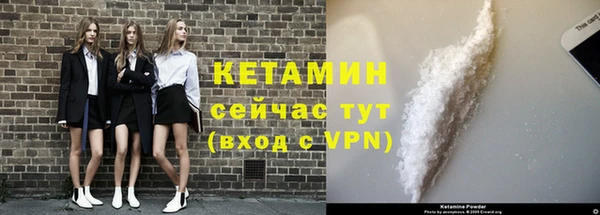индика Корсаков