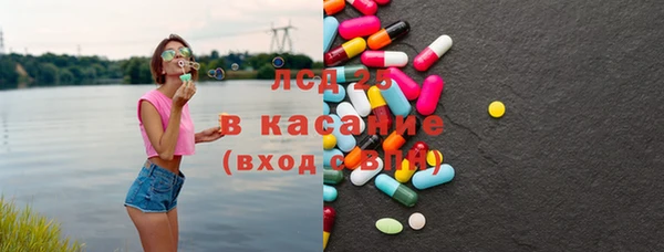 индика Корсаков
