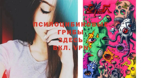 индика Корсаков