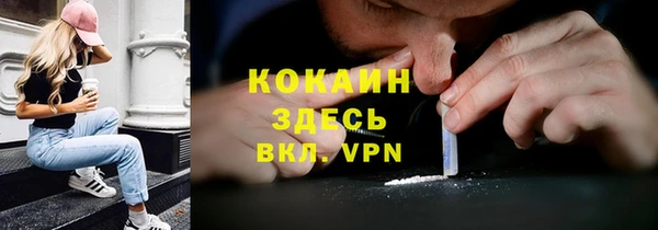 индика Корсаков