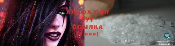 индика Корсаков