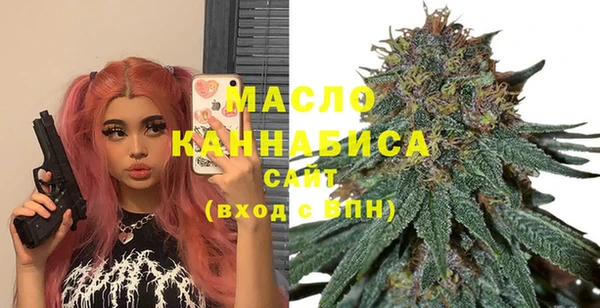 индика Корсаков