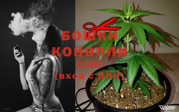 ALPHA PVP Костерёво