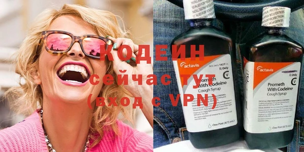 индика Корсаков
