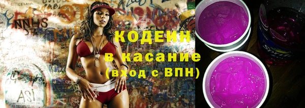 индика Корсаков
