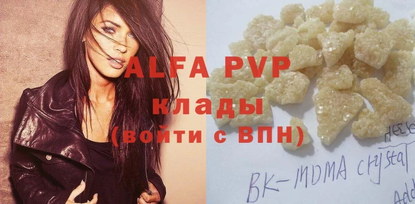 индика Корсаков
