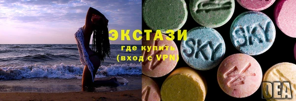 индика Корсаков